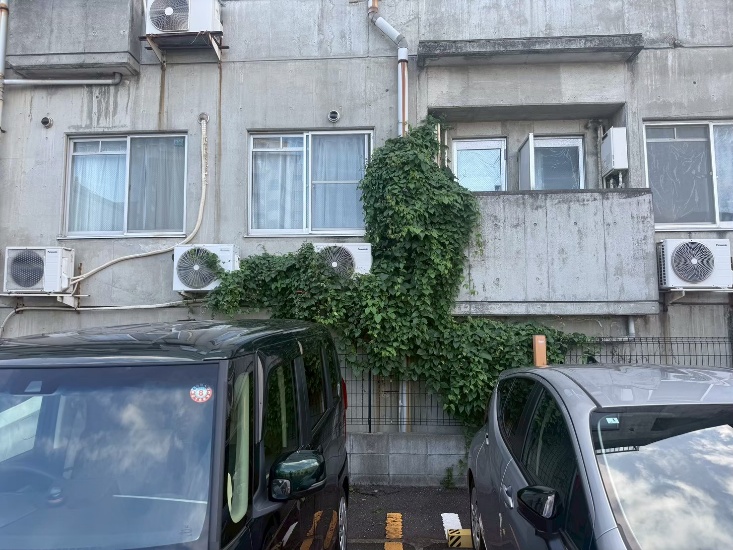 浦安市の建物外周のツタ除去 施工前 1